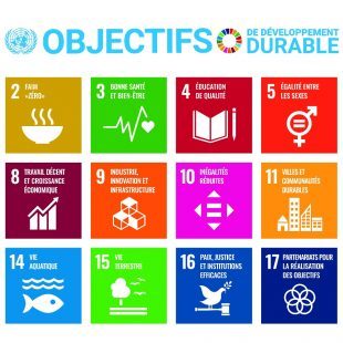Poster des 17 objectifs de développement durable de l'ONU
