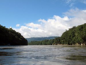 fleuve Amazone