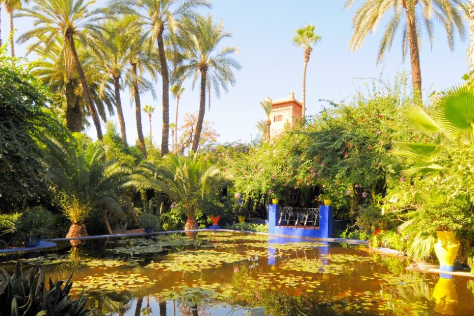 Photographie du jardin des Majorelle à Marrakech au Maroc
