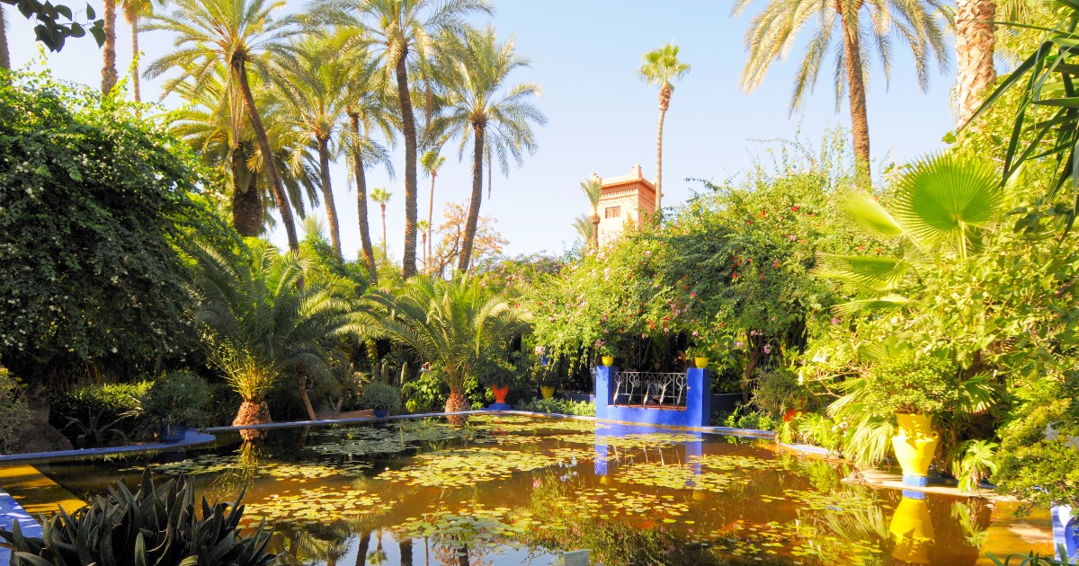 Photographie du jardin des Majorelle à Marrakech au Maroc