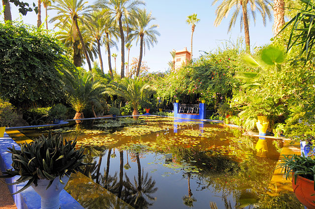 photo du jardin des Majorelle