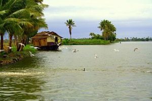 Photo d'un paysage de fleuve du Kerala