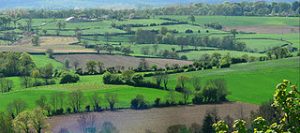 photo du bocage boulonnais