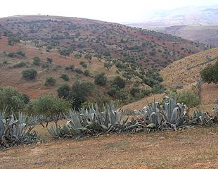 paysage de moyenne montagne d'Algérie