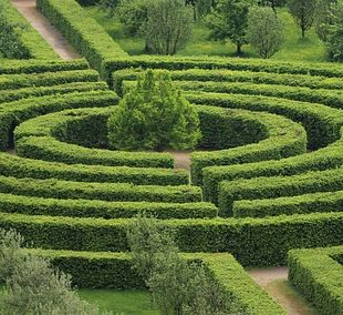 photo d'un labyrinthe de verdure