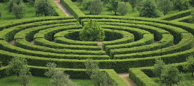 photo d'un labyrinthe de verdure