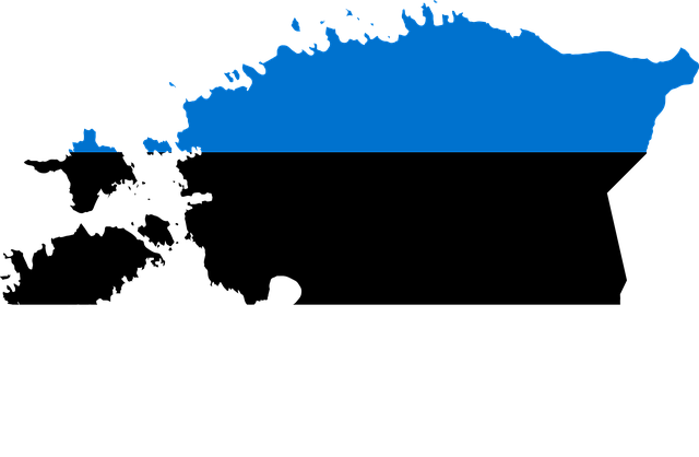 image vectorielle de l'Estonie avec les couleurs de son drapeau bleu, noir, blanc