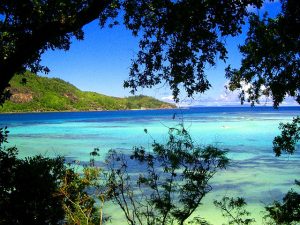 Photographique d'un paysage de plage aux Seychelles