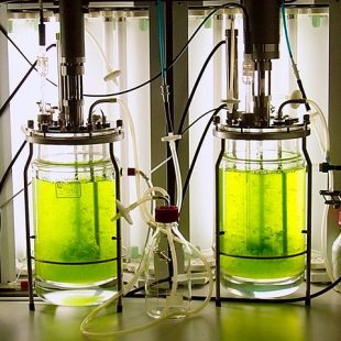 Bioréacteur, 2 bocaux verts avec des tuyaux