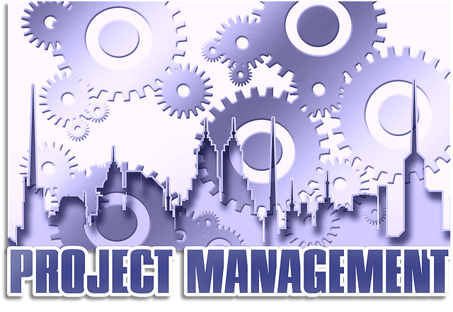 image virtuelle de rouages avec les mots : project management