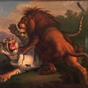 Tableau de Peter Wenzel représentant un combat entre un tigre et un lion