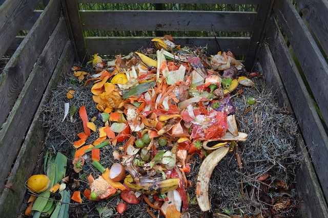 photographie d'un tas de compost