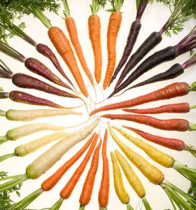 Photographie de carottes de toutes les couleurs disposées en cercle