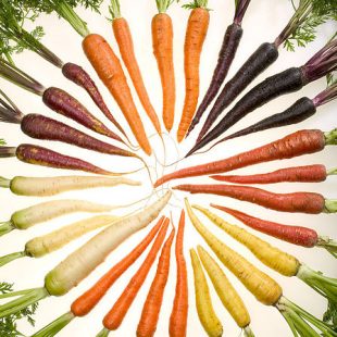 Photographie de carottes de toutes les couleurs disposées en cercle