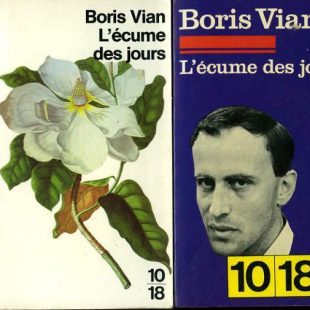2 couvertures de l'Ecume des jours (poche)