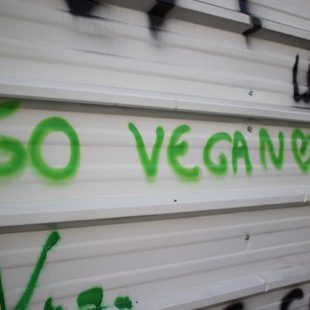 graffiti mural "Go végan"