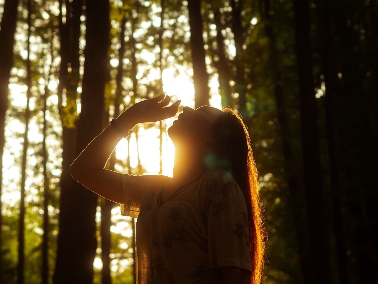 Femme en contre-jour dans une forêt.