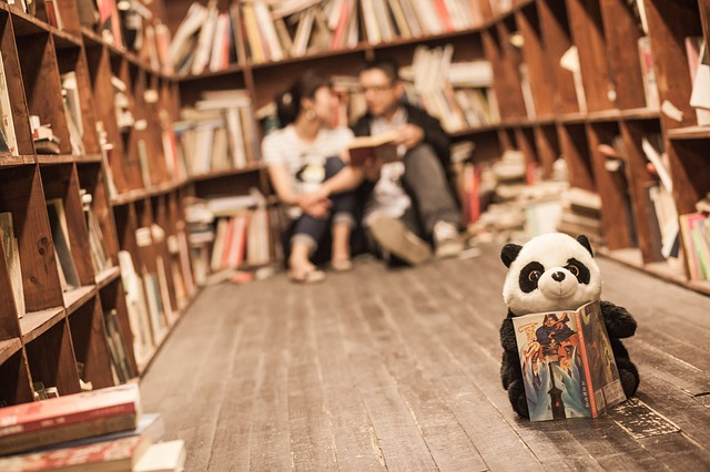 Peluche panda lisant un livre