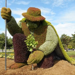 La mosaïculture L'Homme qui plantait des arbres