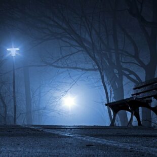 Parc brumeux de nuit, vue d'un banc et d'un lampadaire qui éclaire.