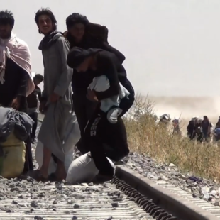 Réfugiés syriens regagnant Tell Abyad