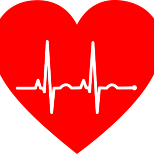 Électrocardiogramme