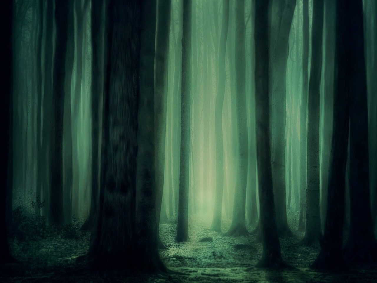 Forêt éclairée d'une lueur verte