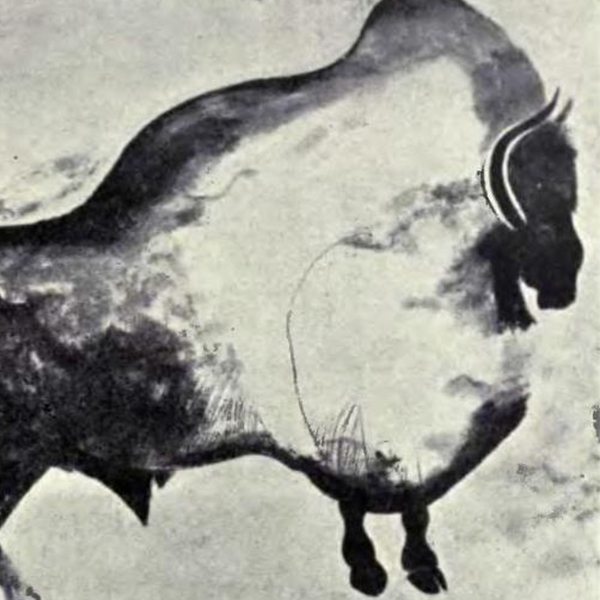 Représentation d'un bison dans la grotte de Font-de-Gaume
