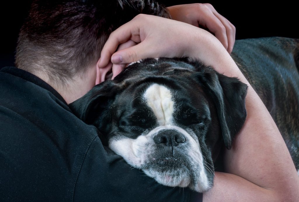 câlin entre un homme et son chien