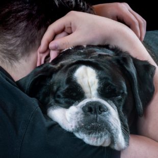 câlin entre un homme et son chien