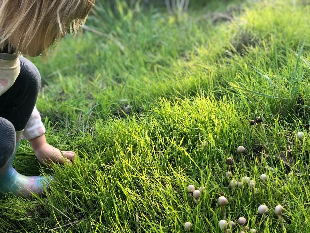 Enfant agenouillé dans l'herbe verte qui arrache des bruns d'herbe