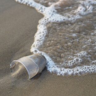 Gobelet en plastique sur le sable d'une plage.