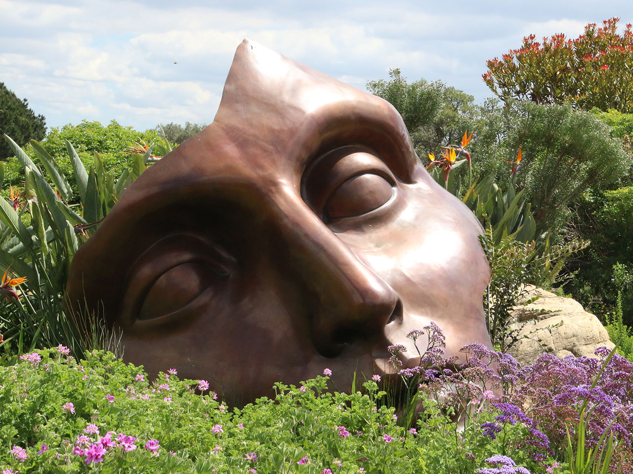 visage de statue dans un pré