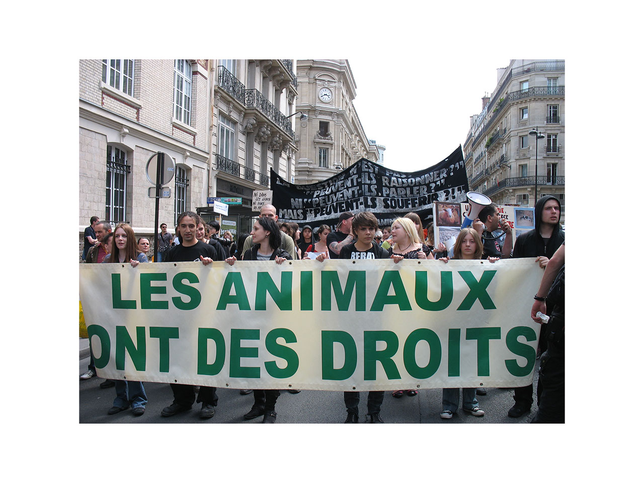 Les droits des animaux iphilo