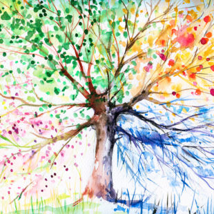 aquarelle d'un arbre aux couleurs des quatre saisons