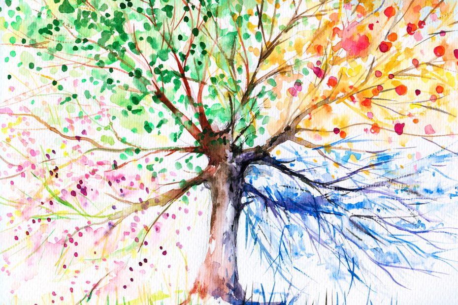 aquarelle d'un arbre aux couleurs des quatre saisons