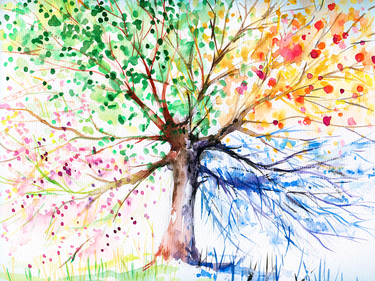 aquarelle d'un arbre aux couleurs des quatre saisons