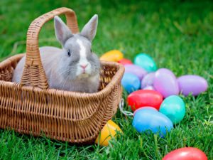 lapin dans un panier en osier placé à côté d'oeufs de Pâques