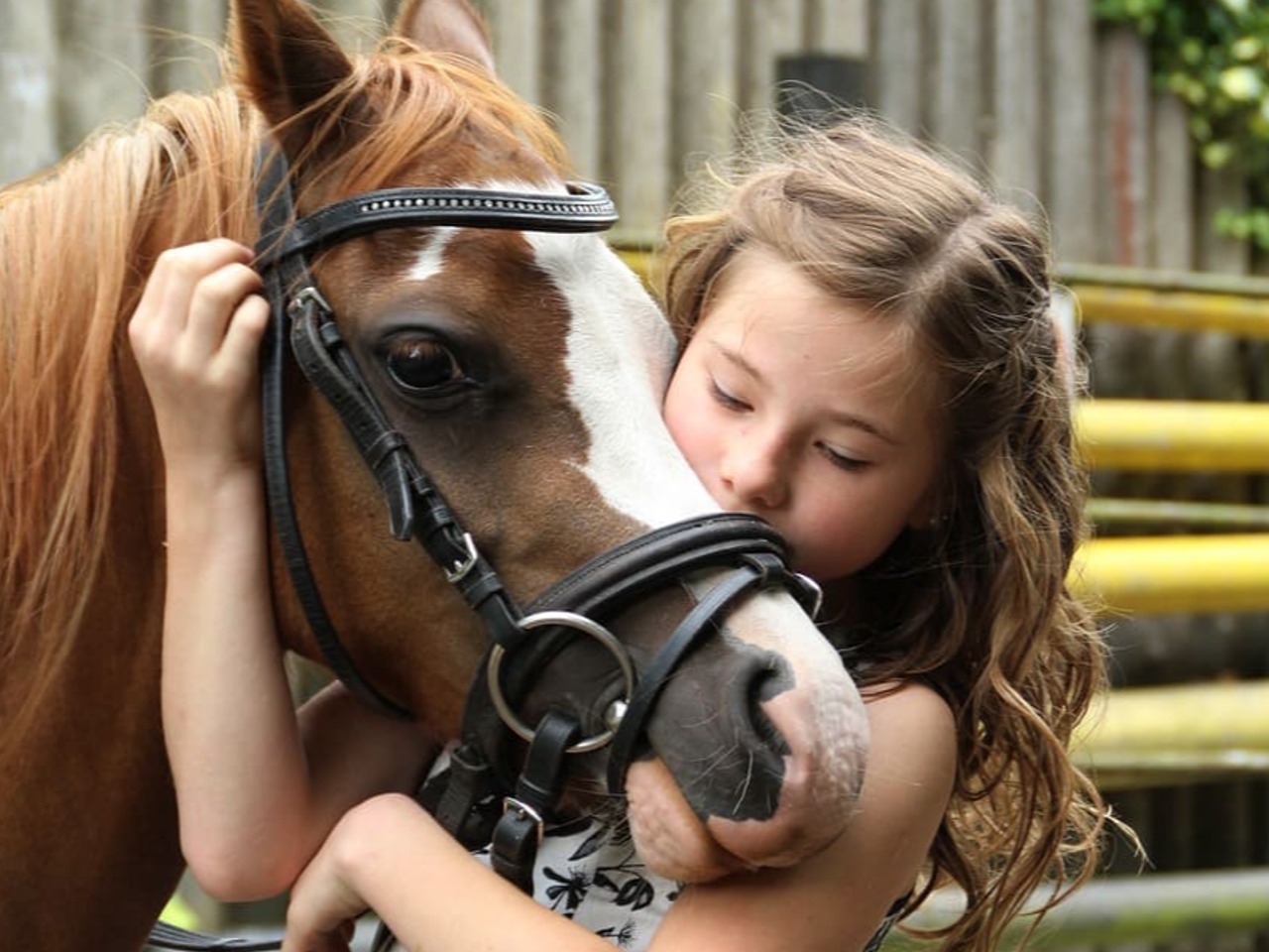 Petite fille caressant un cheval.