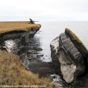 Bloc de permafrost en train de fondre sur le littoral de la toundra d'Alaska