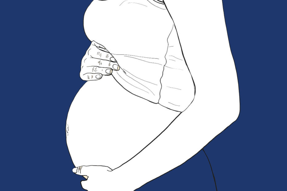 illustration du ventre d'une femme enceinte