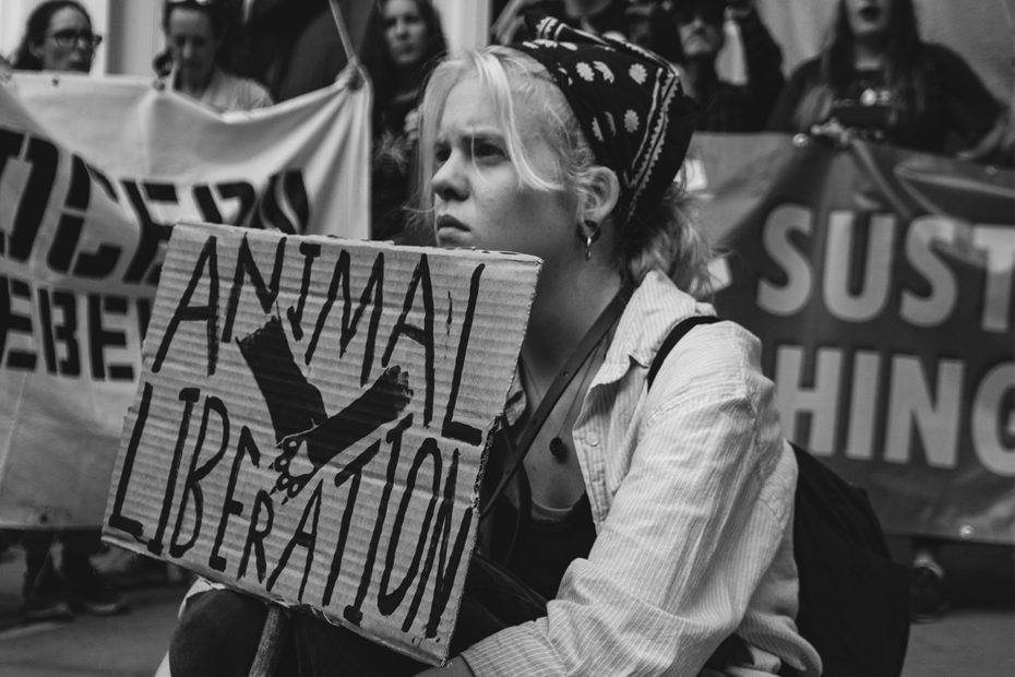 Manifestation en faveur des droits des animaux