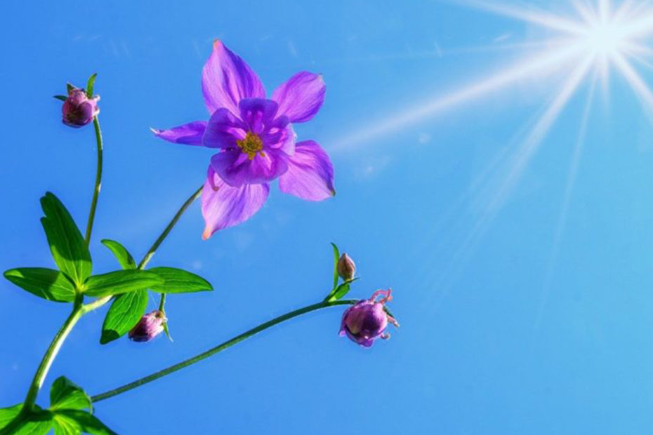 Soleil éclatant dans un ciel bleu