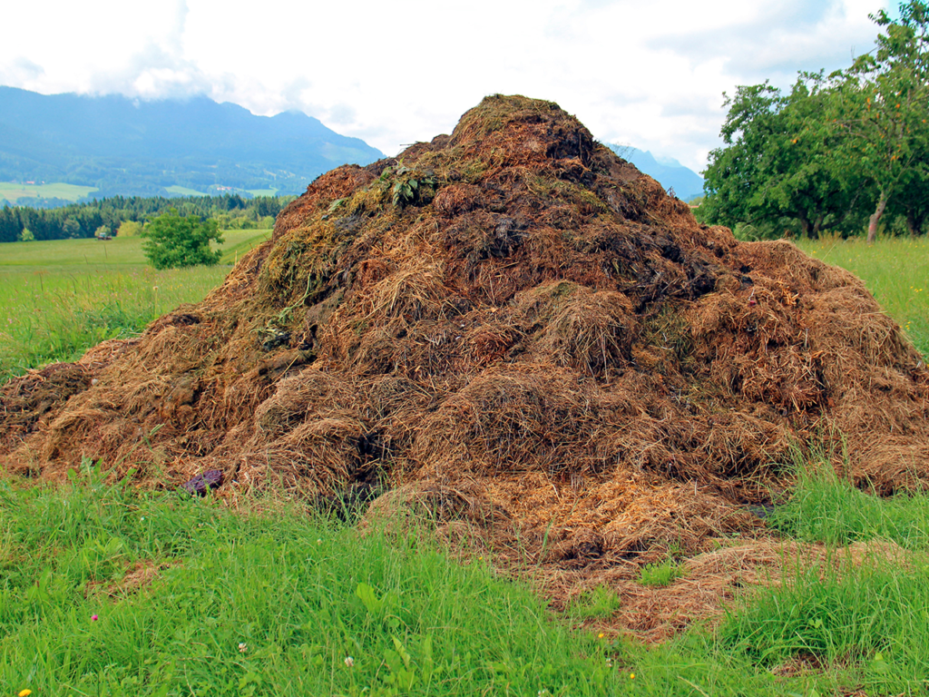 tas de fumier à la campagne