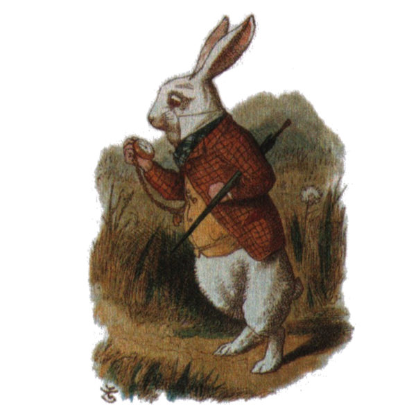 Illustration de John Tenniel reprise par Lewis Carrol pour Alice pour les tout-petit