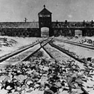 Photo en noir et blanc de l'arrivée des voies ferrées au camp d'Auschwitz