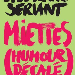 Page de couverture du roman Miettes (Humour décalé)