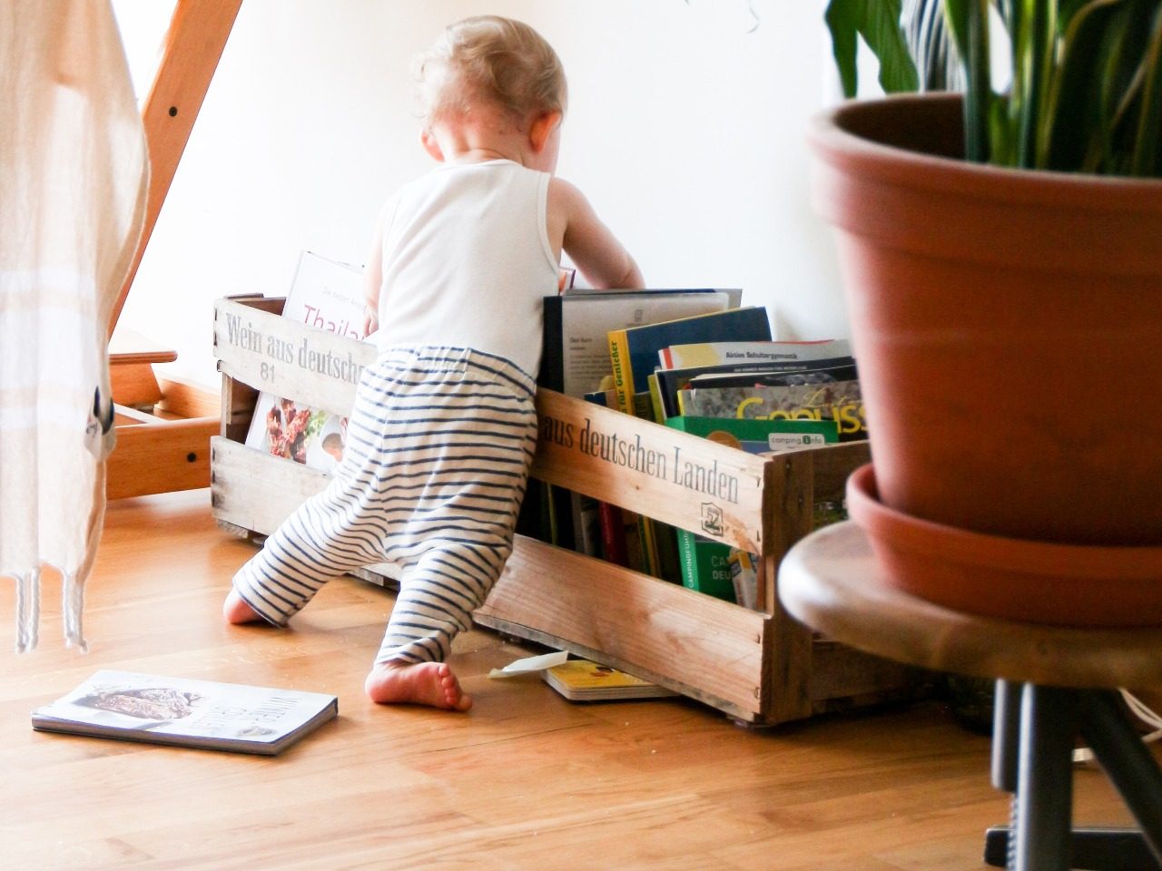 Bébé qui cherche un album dans un bac de livres