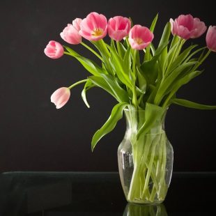 Photo d'un bouquet de fleurs coupées (tulipes) dans un vase rempli d'eau