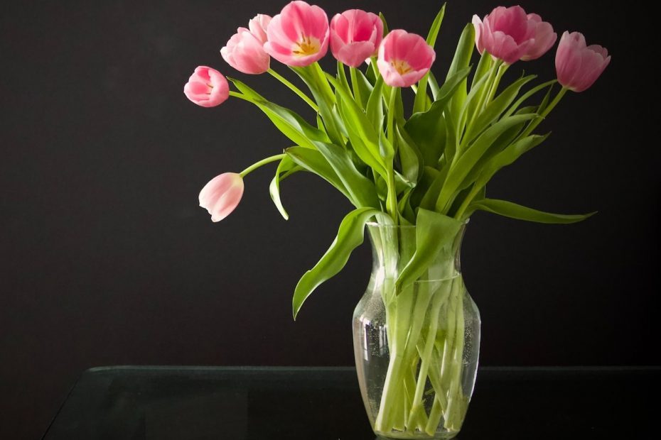 Photo d'un bouquet de fleurs coupées (tulipes) dans un vase rempli d'eau